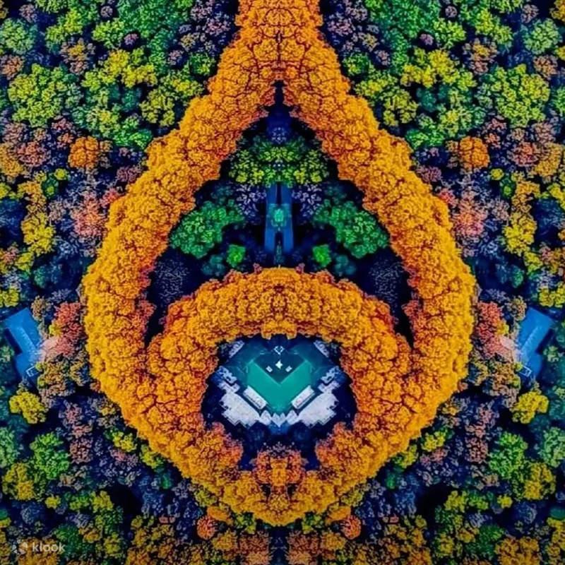 NAM KINH – Ô TRẤN – THƯỢNG HẢI FREEDAY – NO SHOPPING