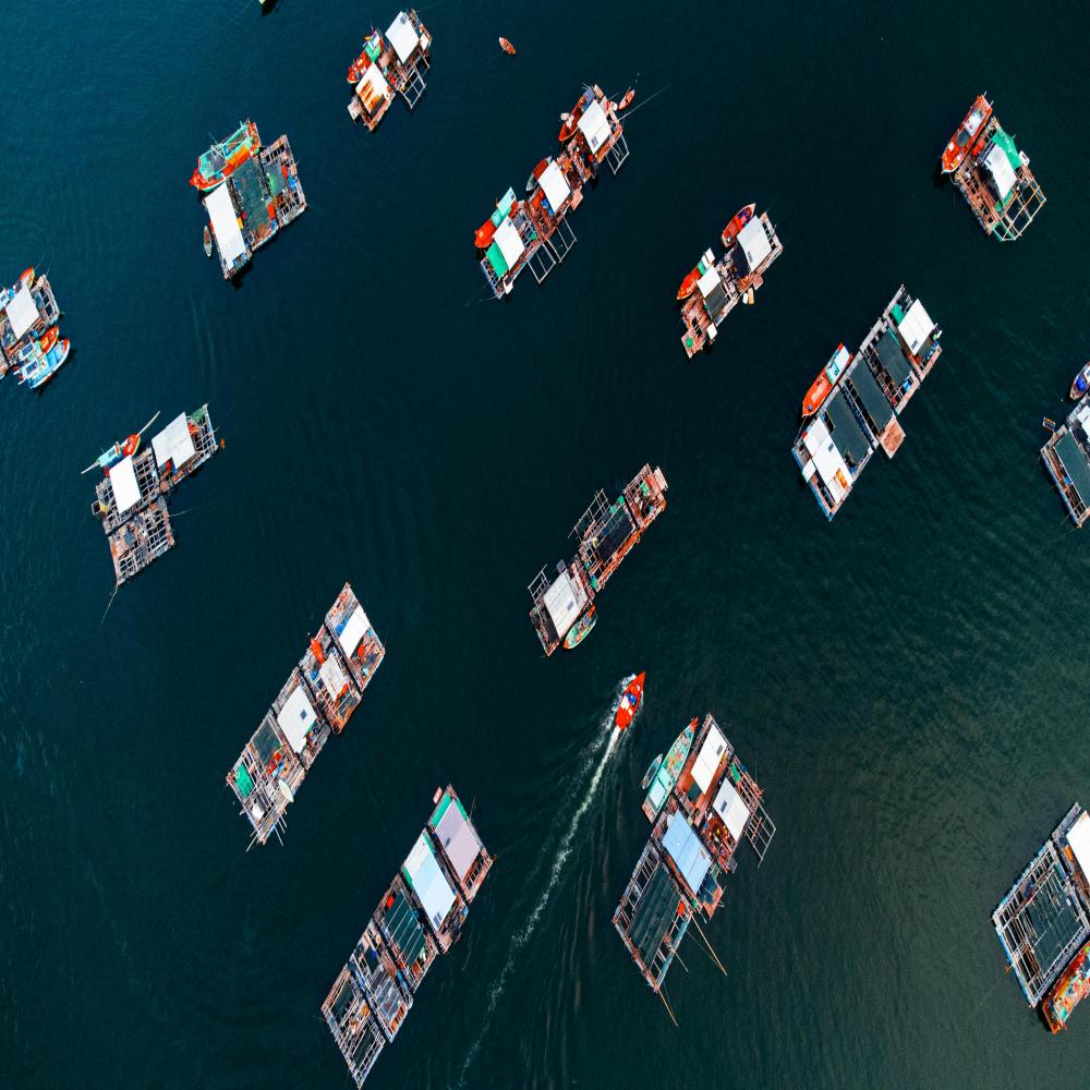 Hà Nội Phú Quốc (test) - Ảnh 12