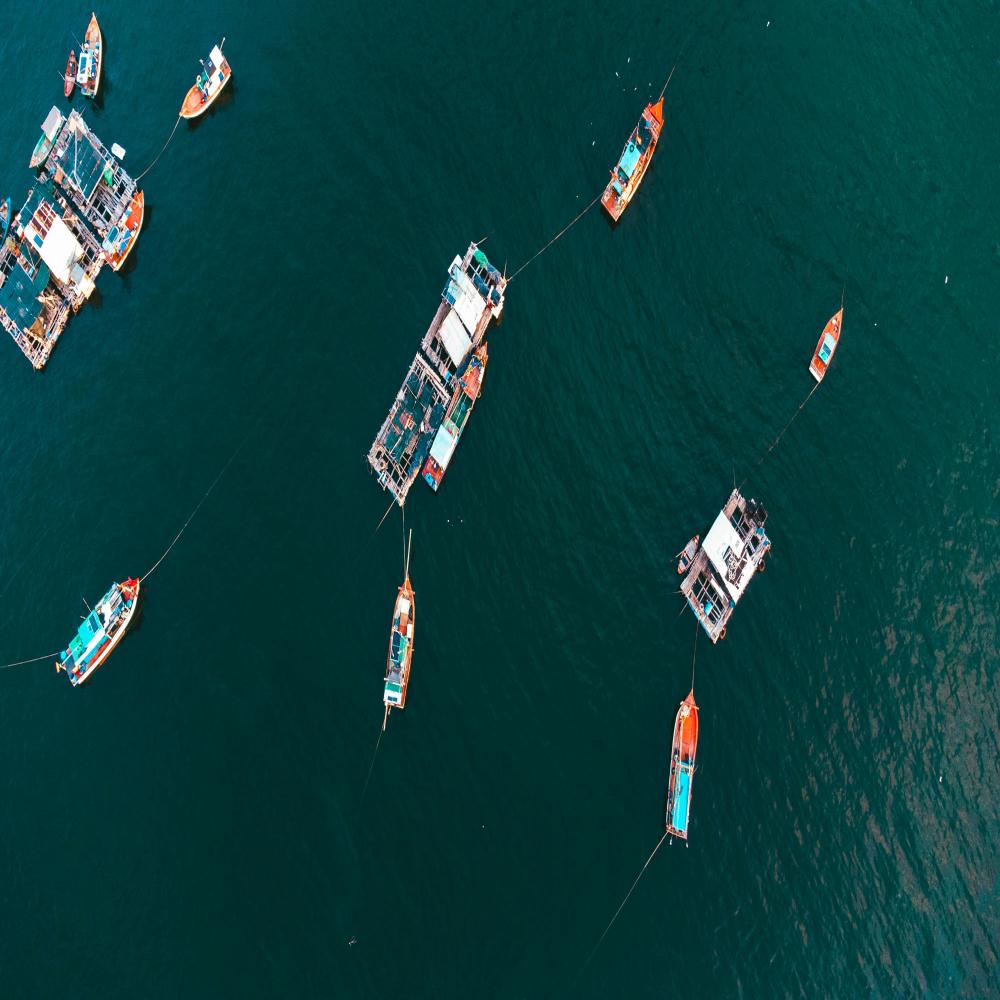 Hà Nội Phú Quốc (test) - Ảnh 18