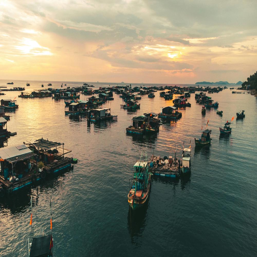 Hà Nội Phú Quốc (test) - Ảnh 19