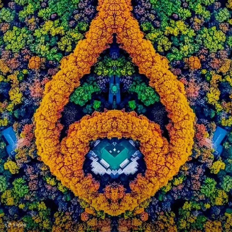 Hình ảnh Ngày 1 - Ảnh chính