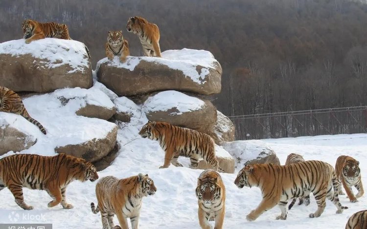 Hình ảnh Ngày 2 - Ảnh 2