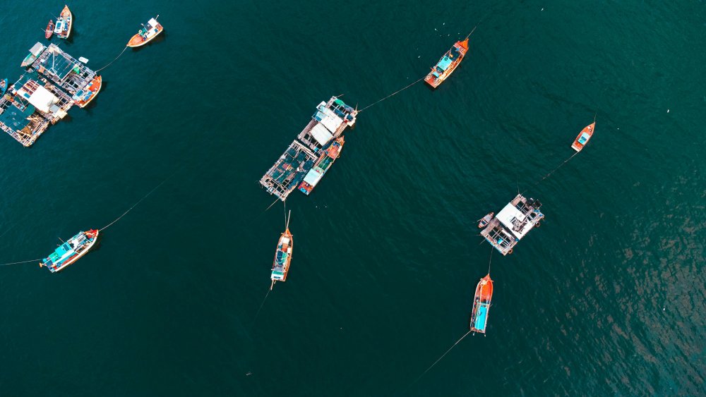 Hình ảnh Ngày 2 - Ảnh 2